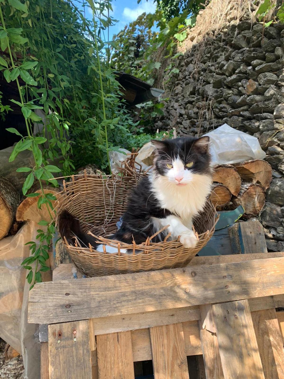 Casa Manadero Apartman Robledillo De Gata Szoba fotó